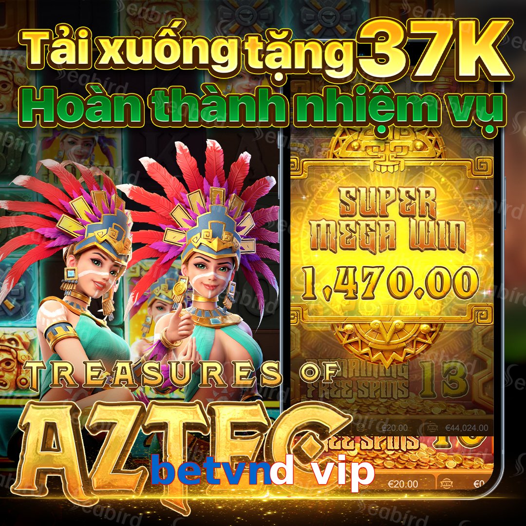 betvnd vip