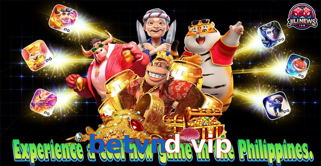 betvnd vip