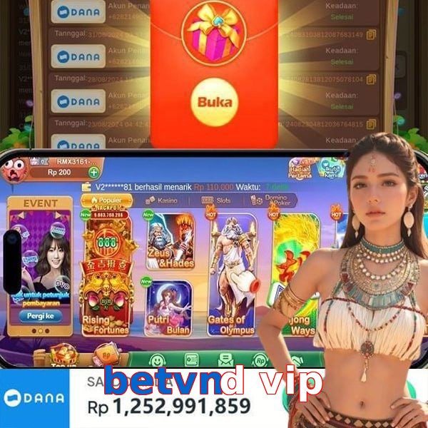 betvnd vip