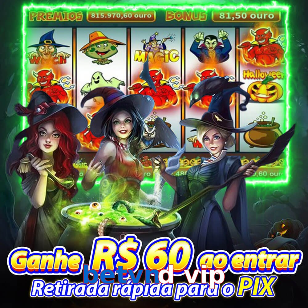 betvnd vip