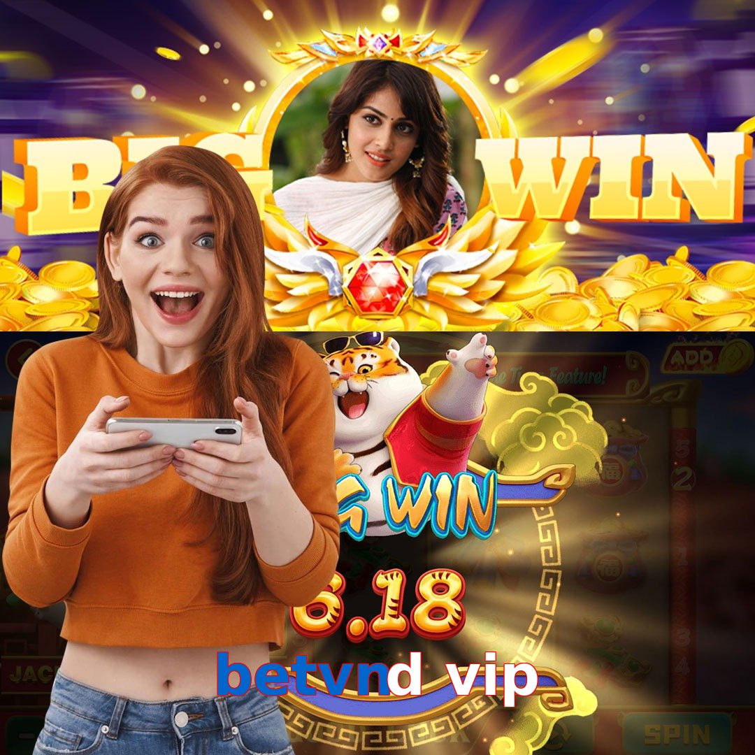 betvnd vip