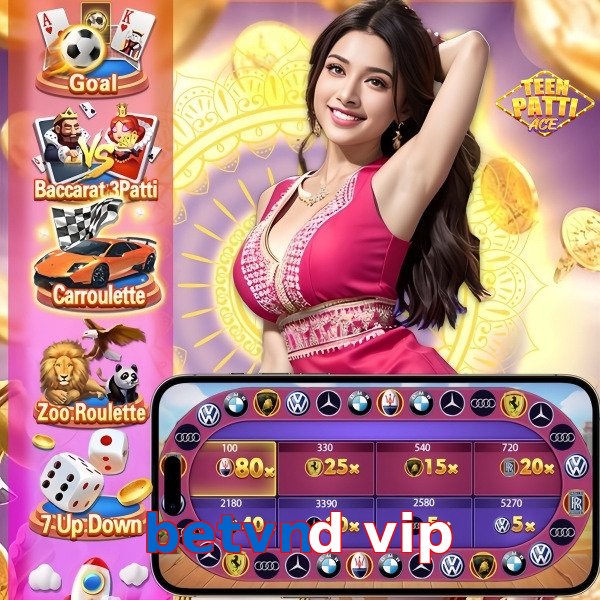 betvnd vip