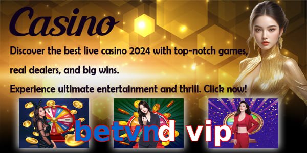 betvnd vip
