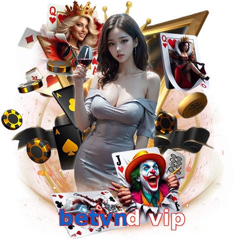 betvnd vip