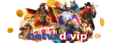 betvnd vip