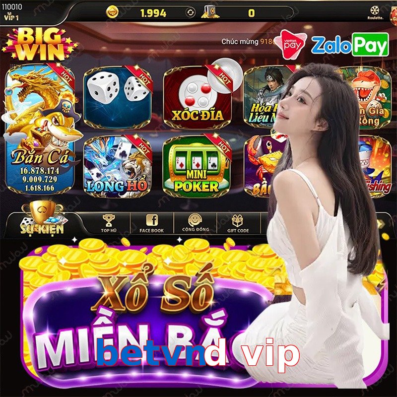 betvnd vip