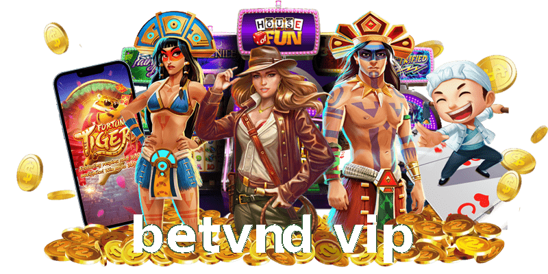 betvnd vip