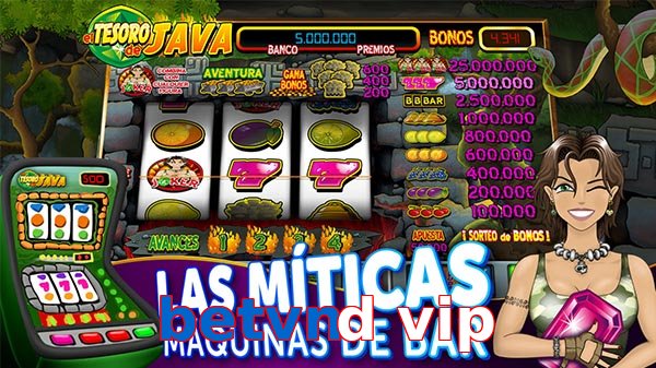 betvnd vip