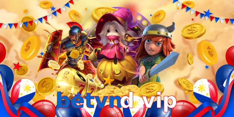 betvnd vip