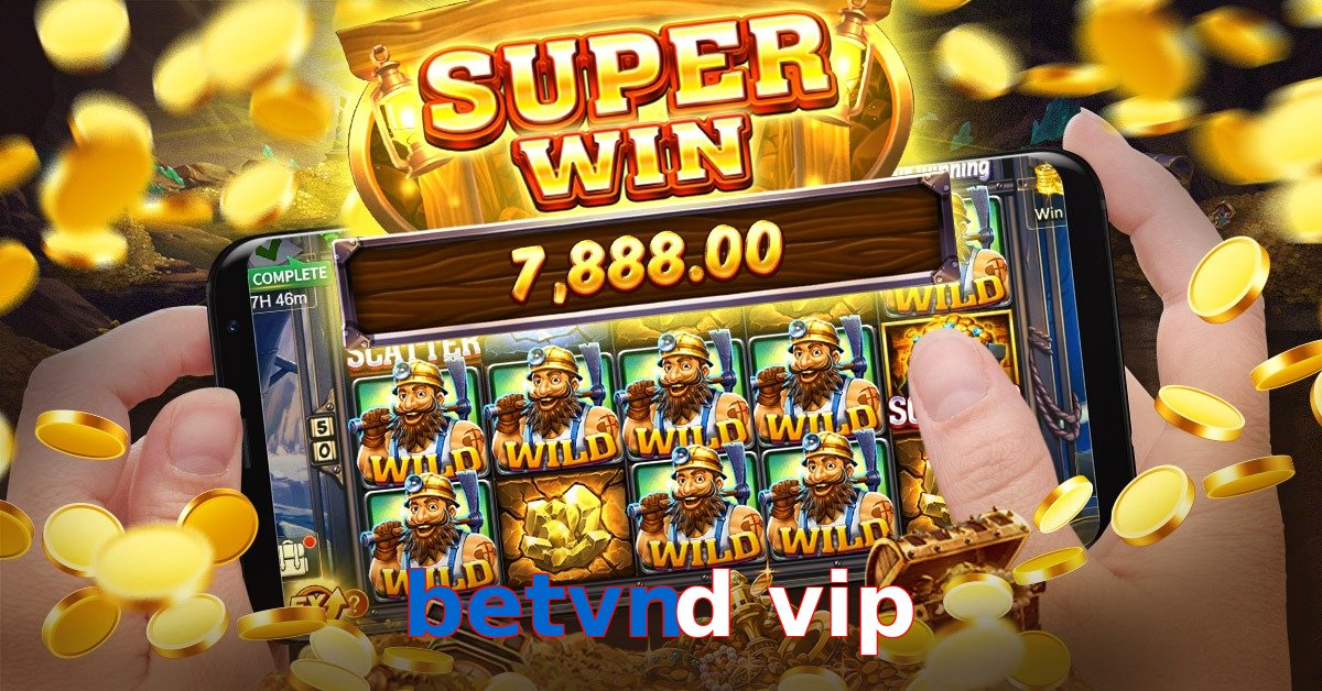 betvnd vip