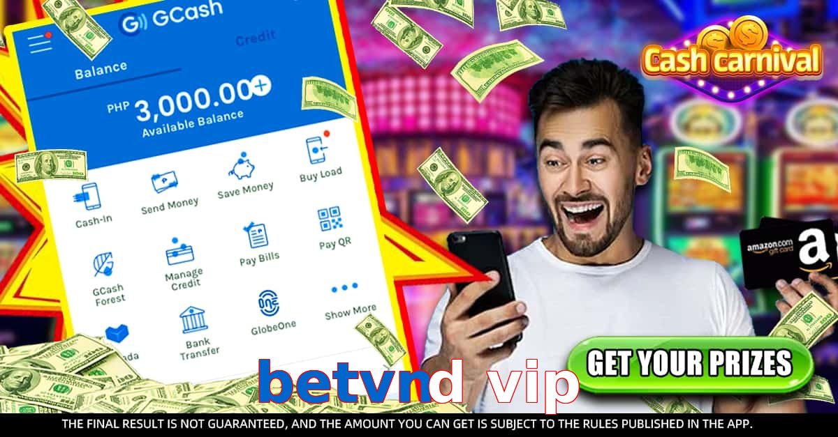 betvnd vip