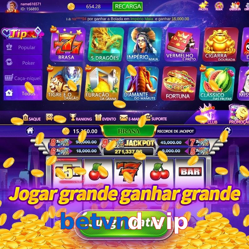 betvnd vip