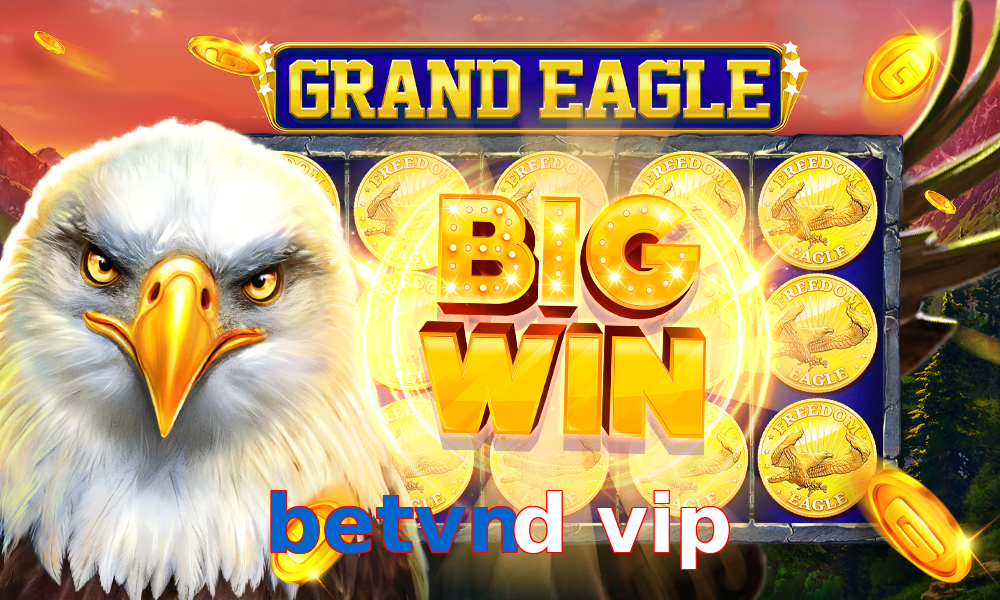 betvnd vip