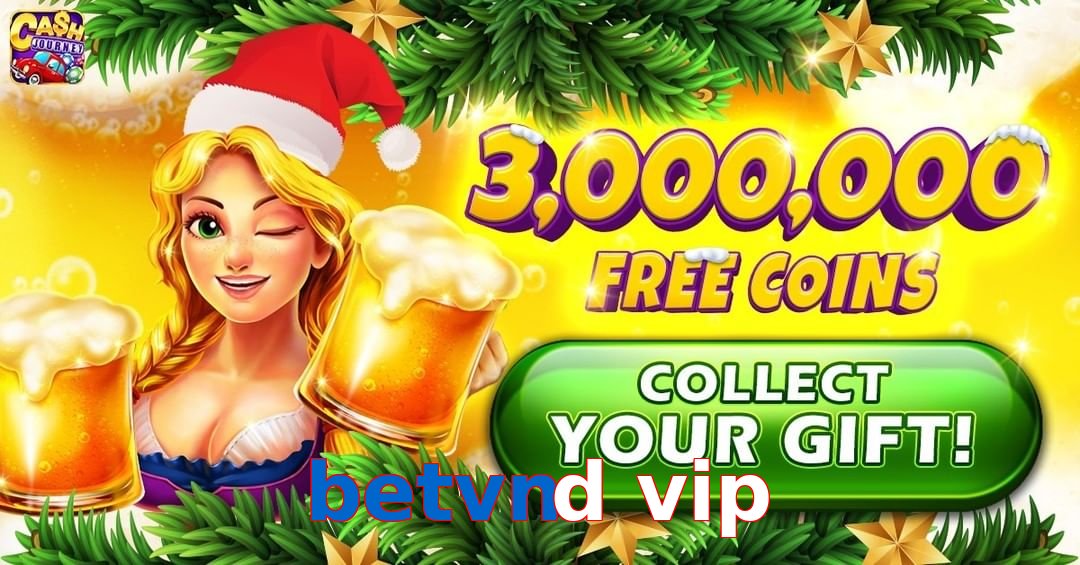 betvnd vip