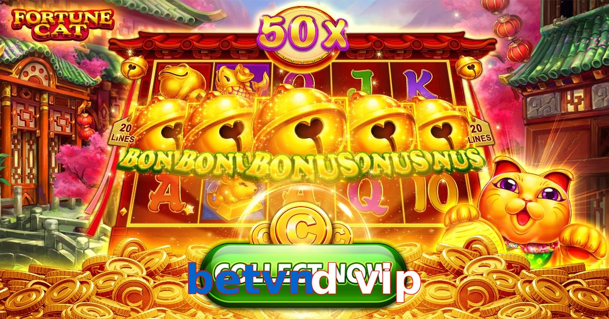 betvnd vip