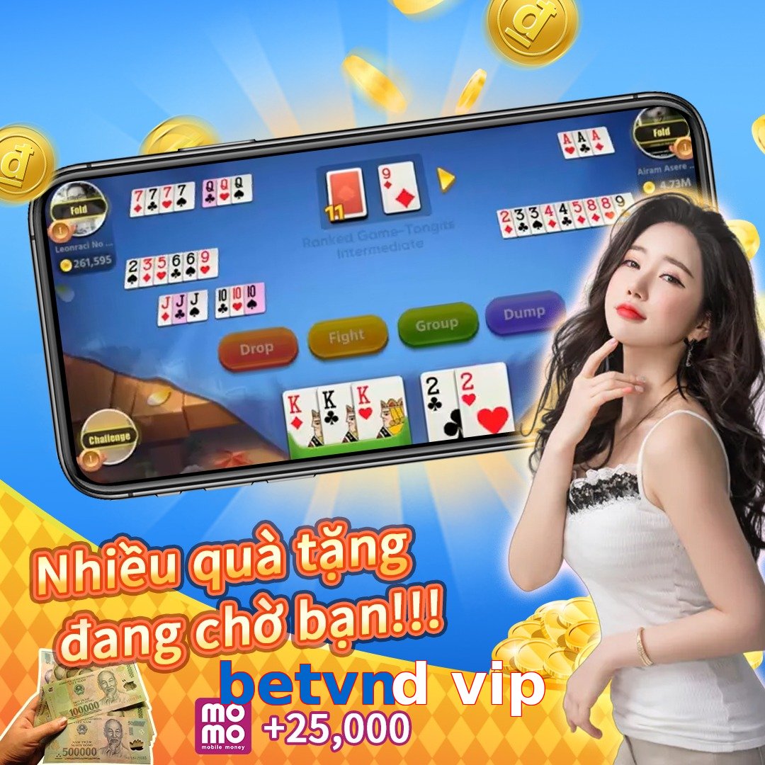 betvnd vip