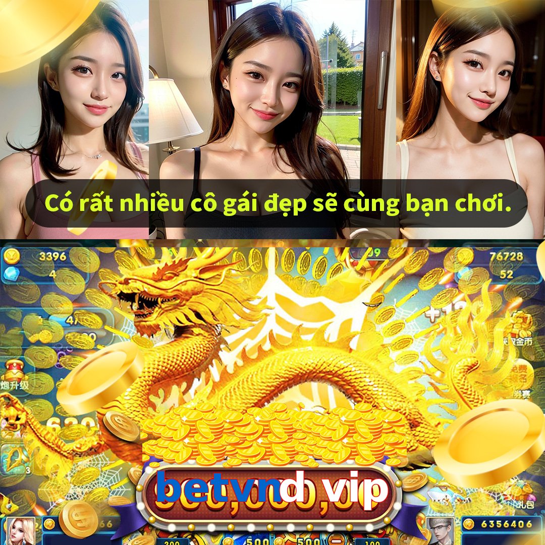 betvnd vip