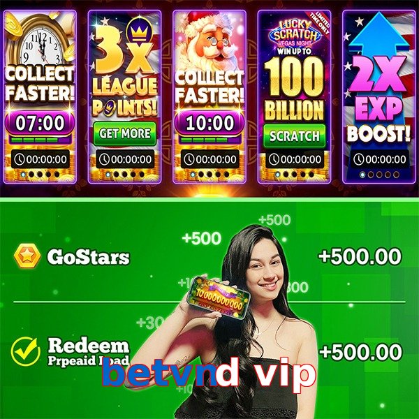 betvnd vip