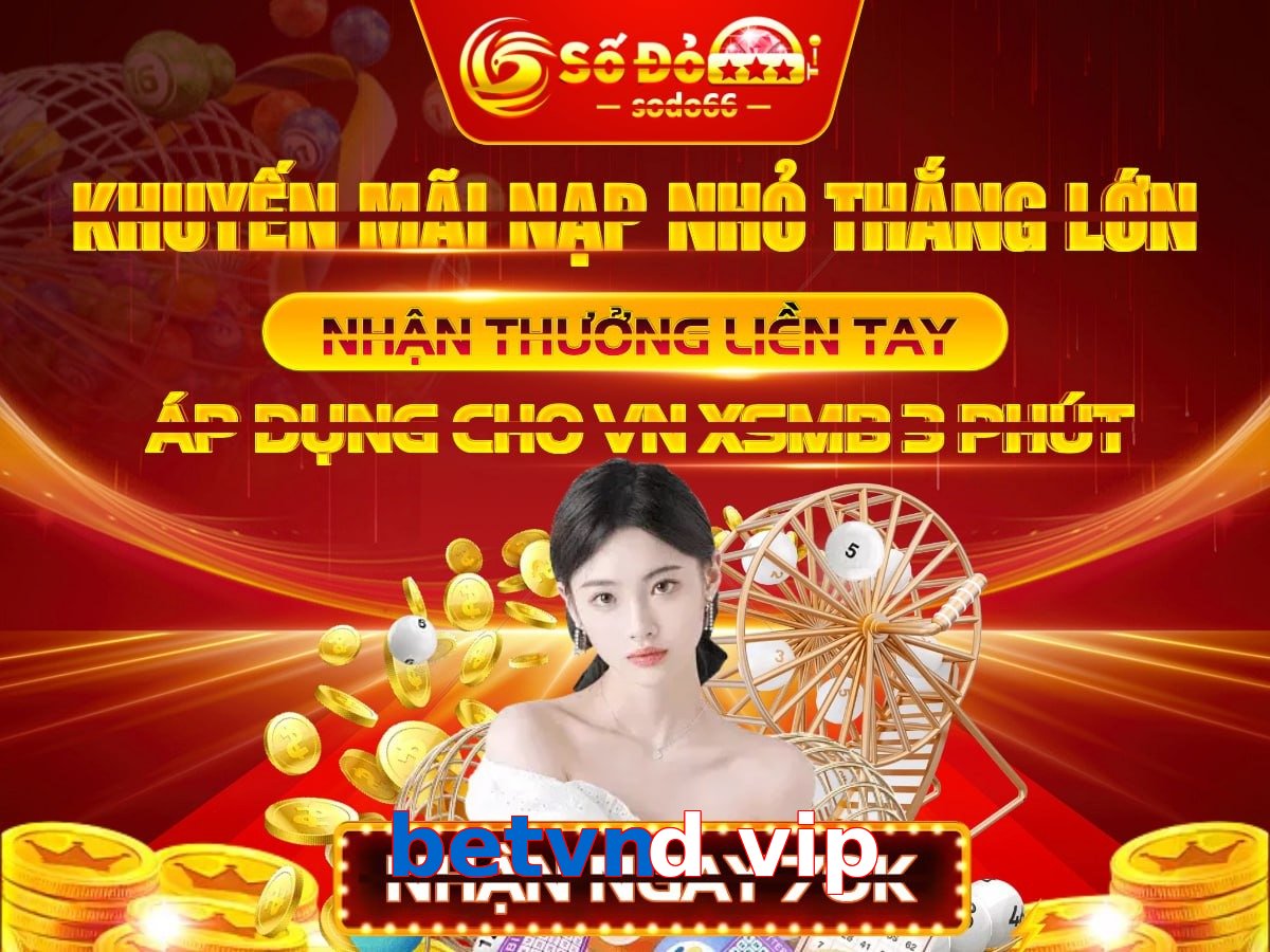 betvnd vip