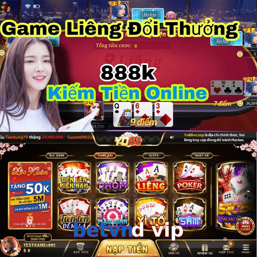 betvnd vip