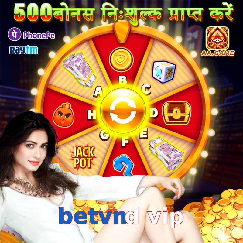 betvnd vip