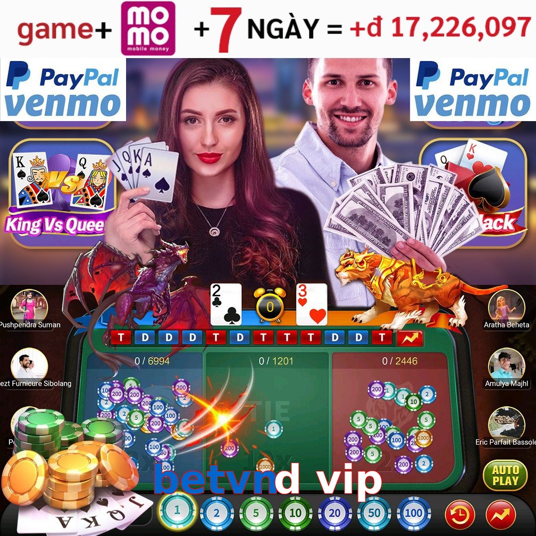 betvnd vip