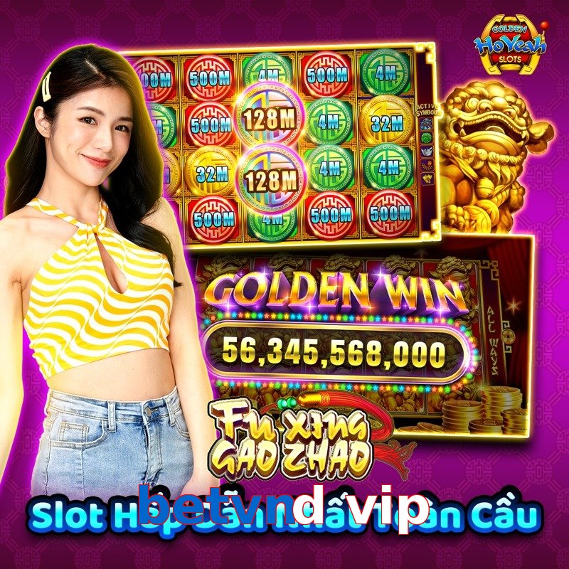 betvnd vip
