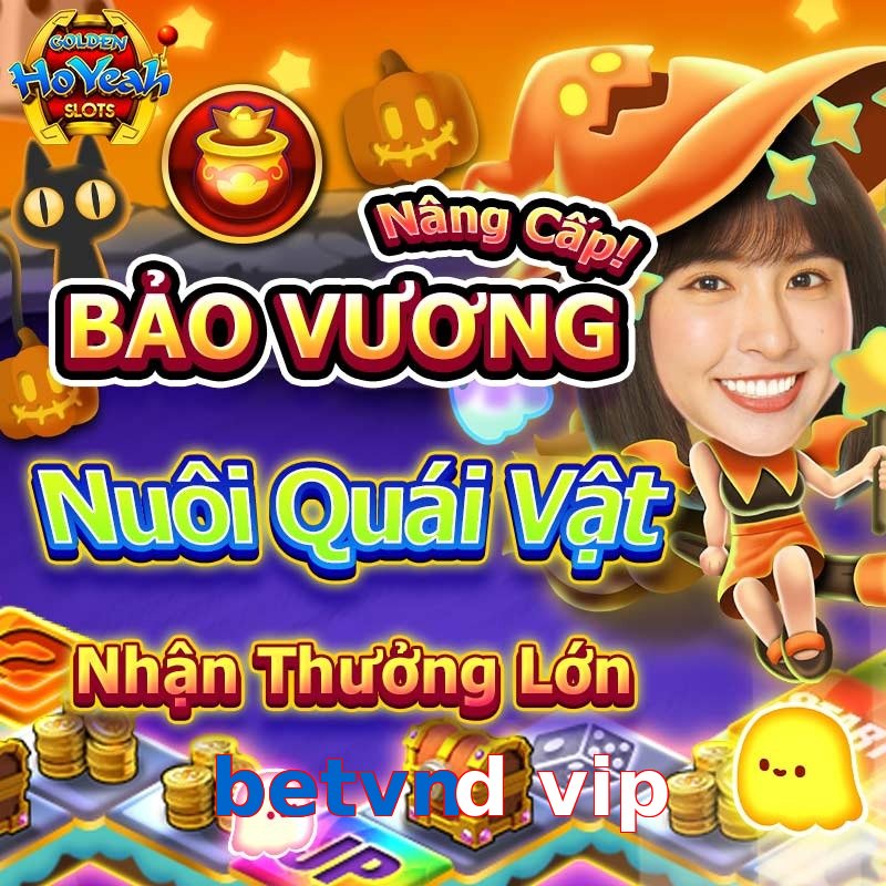 betvnd vip