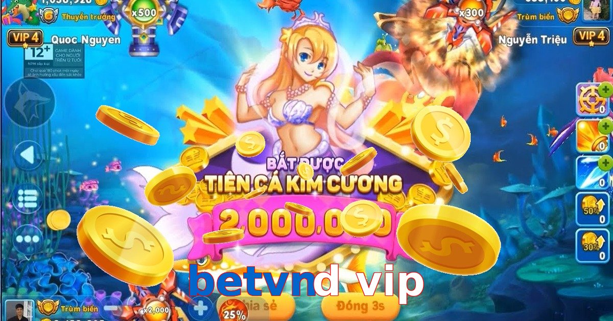 betvnd vip