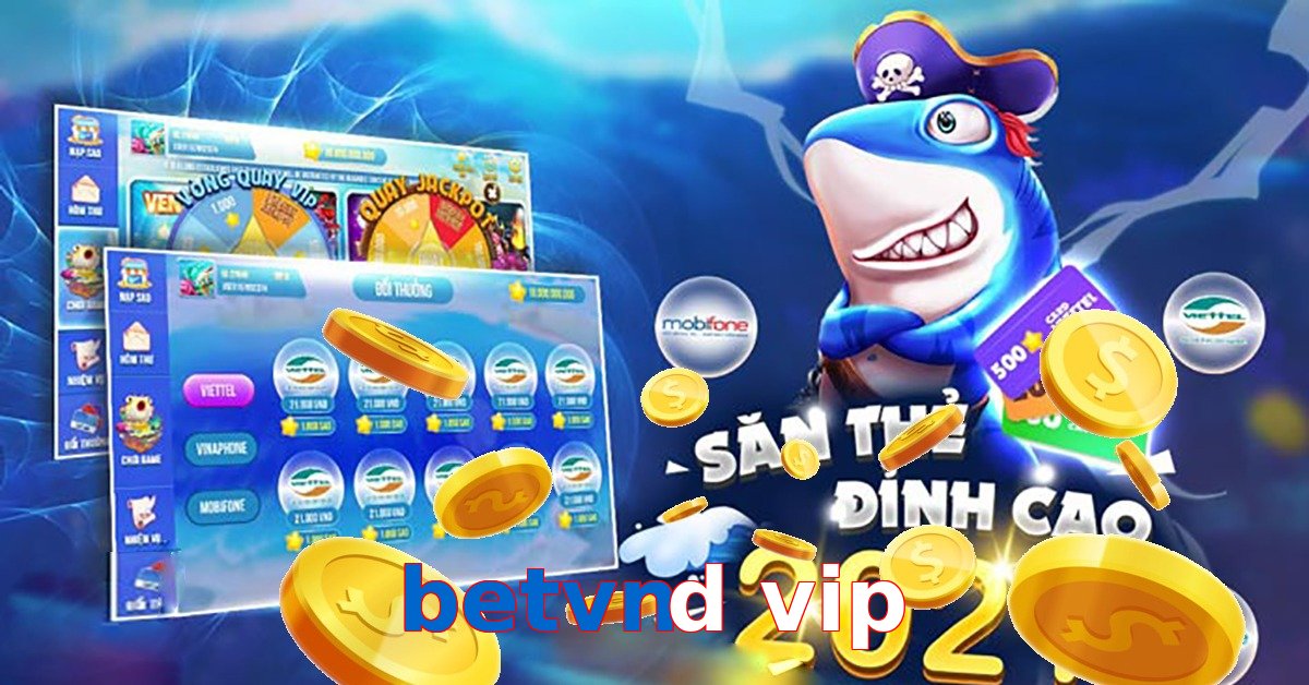 betvnd vip