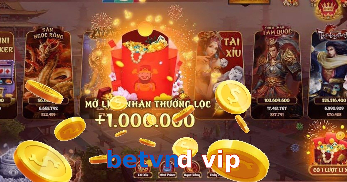 betvnd vip