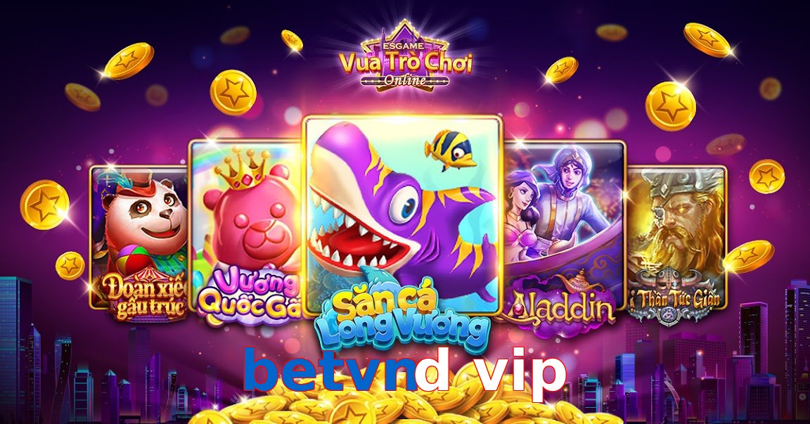 betvnd vip