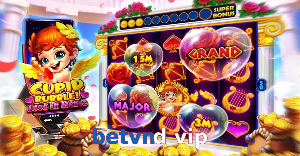 betvnd vip