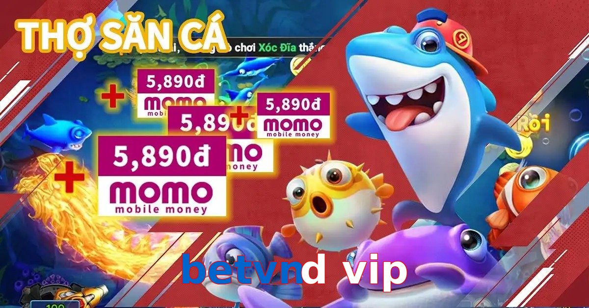 betvnd vip