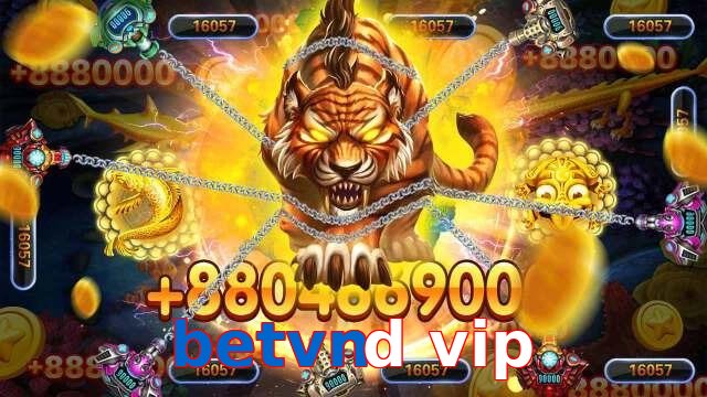 betvnd vip