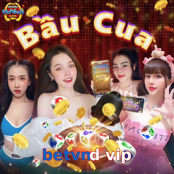 betvnd vip
