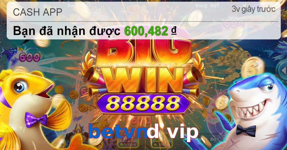 betvnd vip