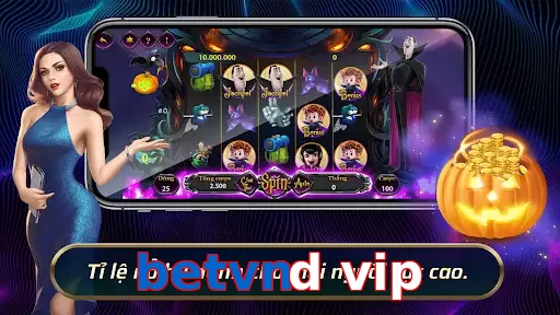 betvnd vip