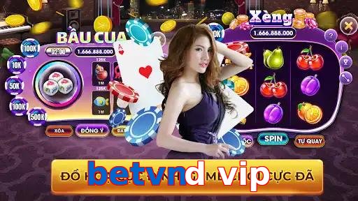 betvnd vip