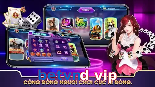 betvnd vip