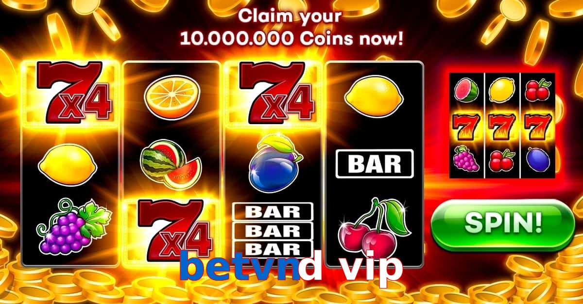 betvnd vip
