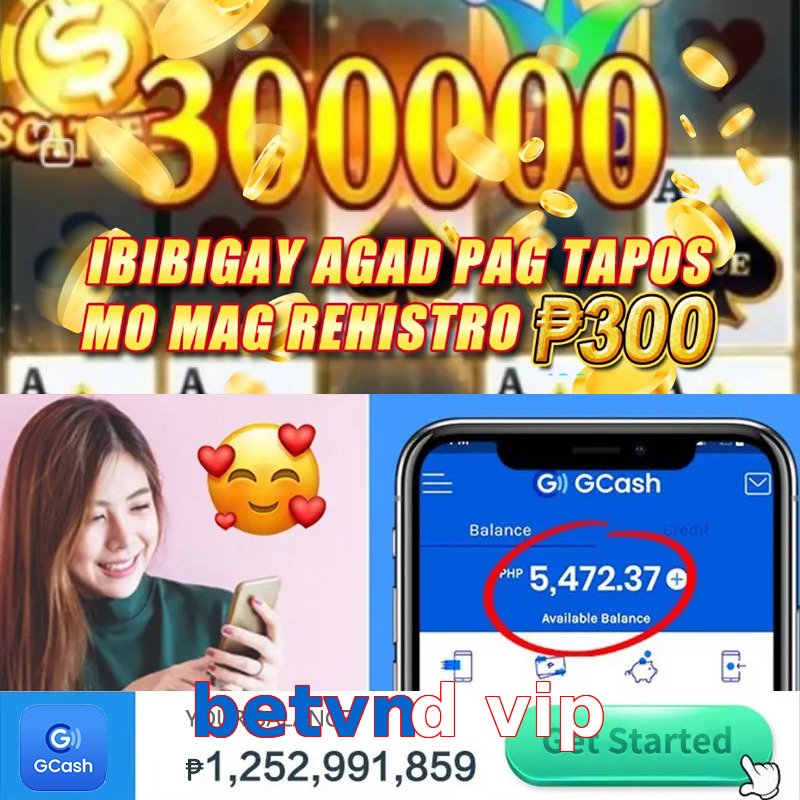 betvnd vip