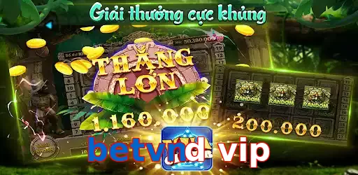 betvnd vip
