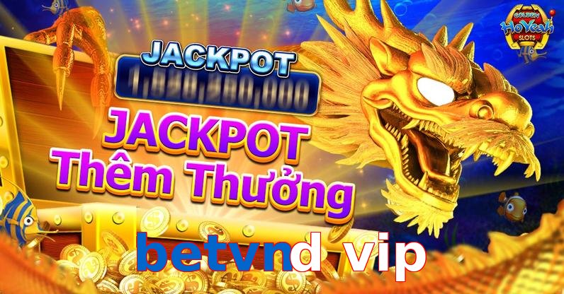 betvnd vip