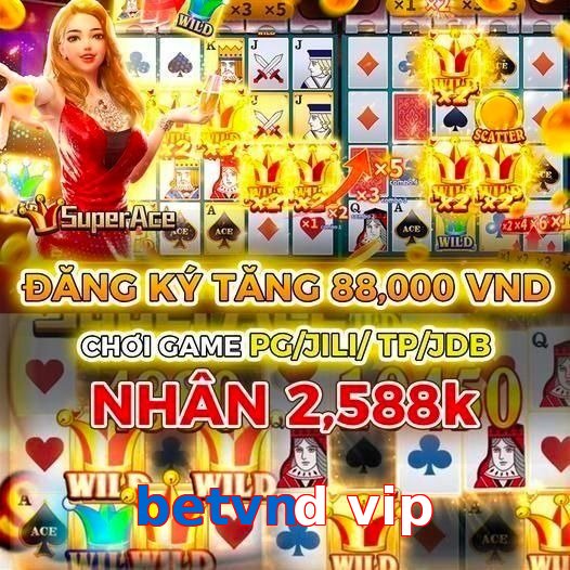 betvnd vip