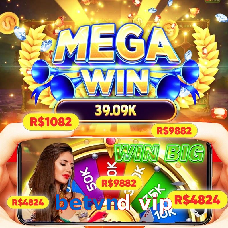 betvnd vip