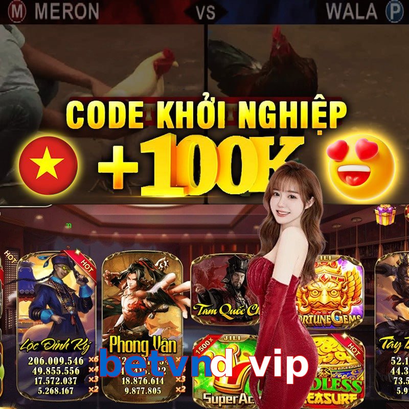 betvnd vip