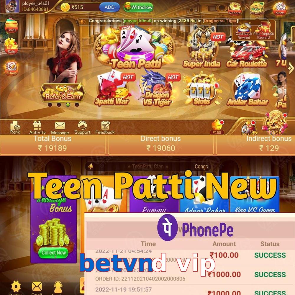 betvnd vip