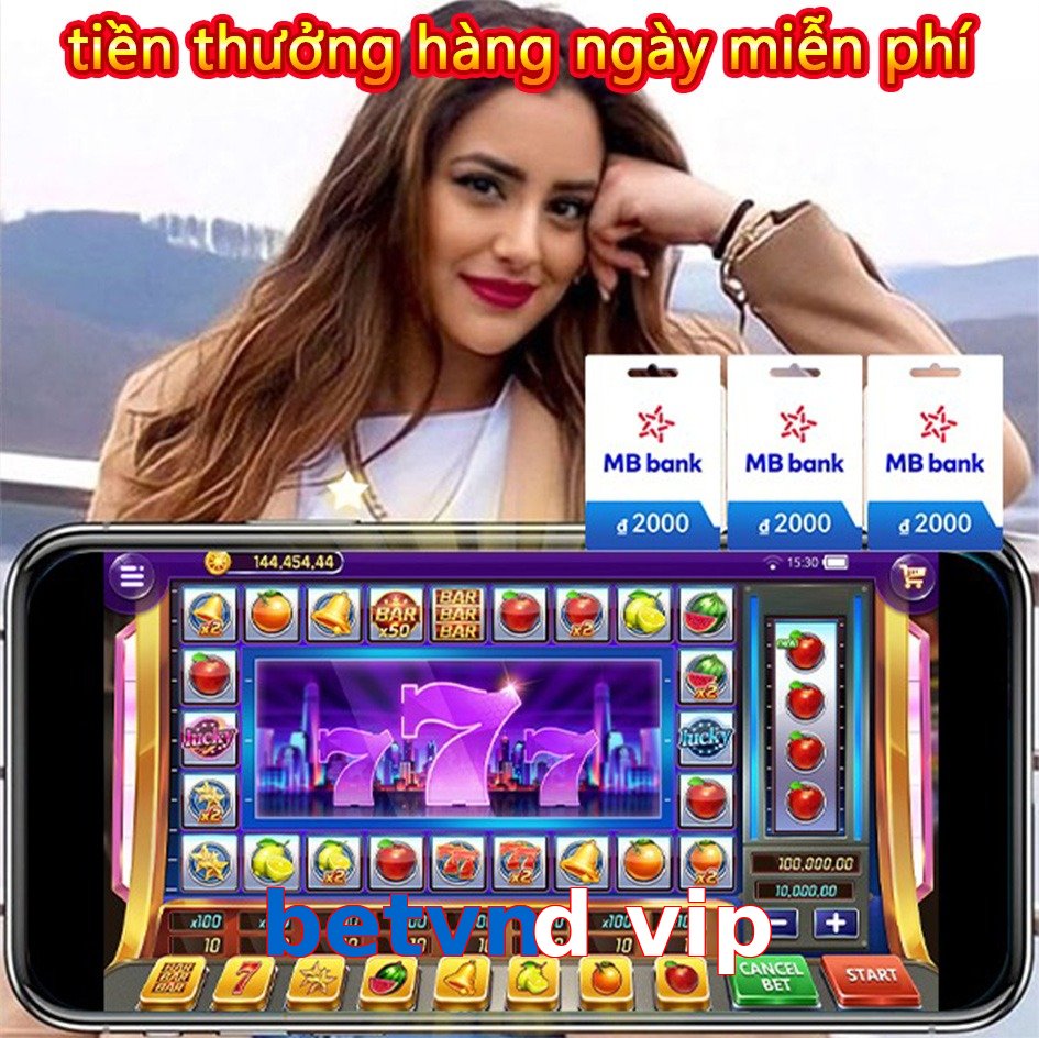 betvnd vip