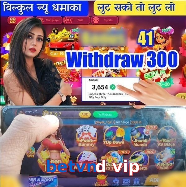 betvnd vip